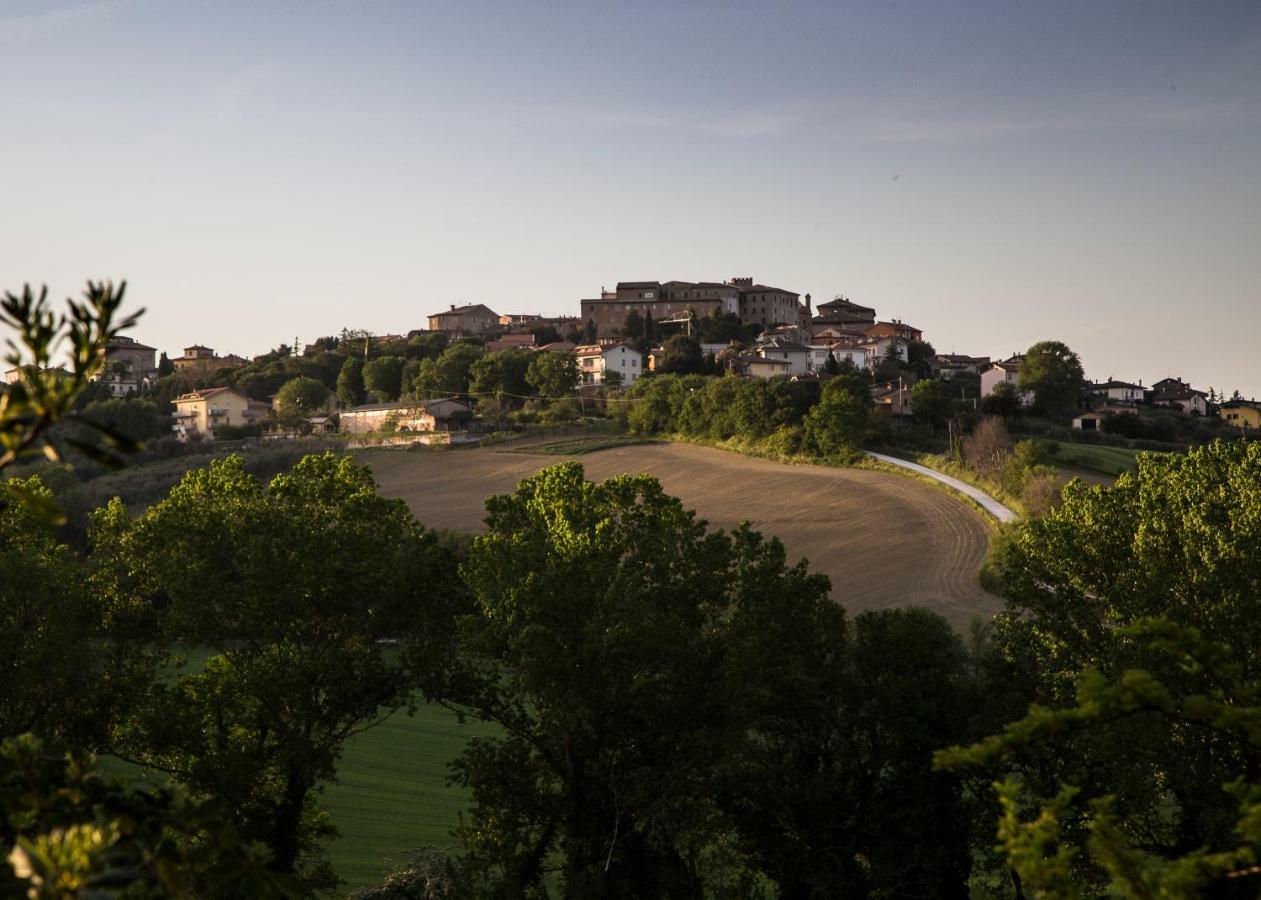 Grande Villa Storica Per Vacanze Con Giardino Privato E Piscina Ostra Extérieur photo
