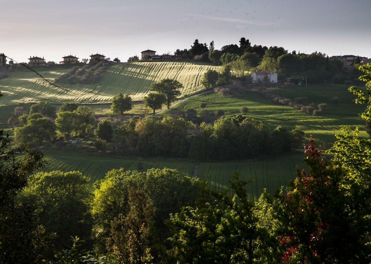 Grande Villa Storica Per Vacanze Con Giardino Privato E Piscina Ostra Extérieur photo
