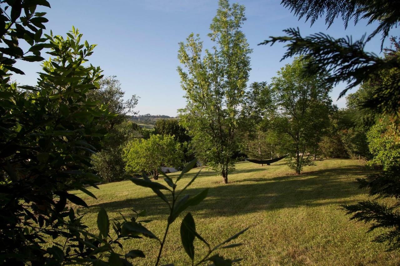 Grande Villa Storica Per Vacanze Con Giardino Privato E Piscina Ostra Extérieur photo