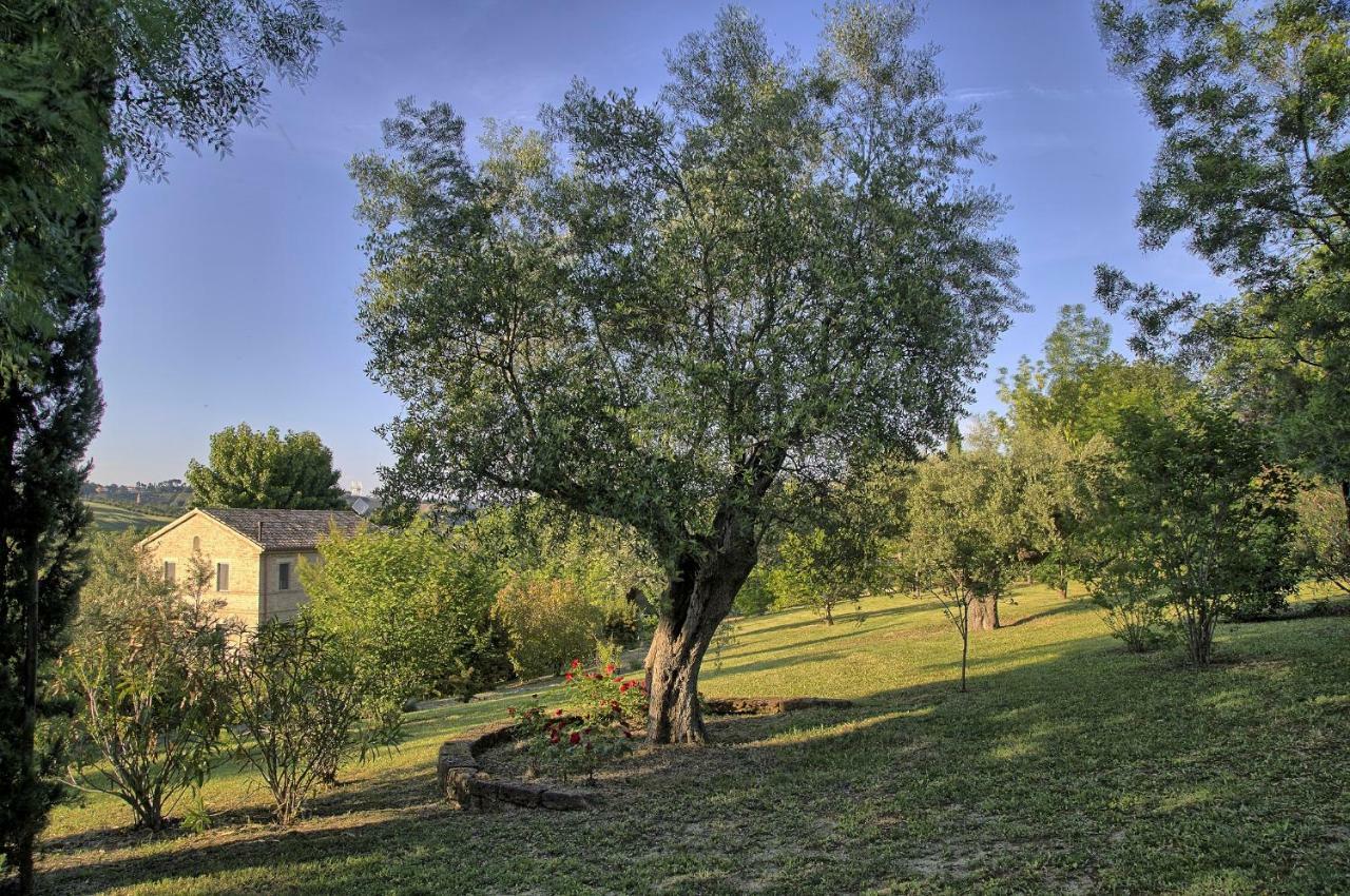 Grande Villa Storica Per Vacanze Con Giardino Privato E Piscina Ostra Extérieur photo